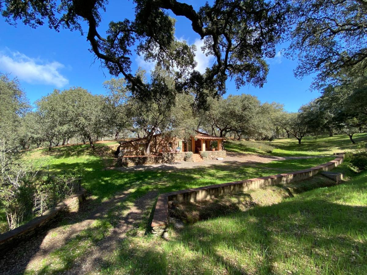 Valle Del Arroyo Casas Rurales - B&B - Solo Adultos Cortelazor Buitenkant foto